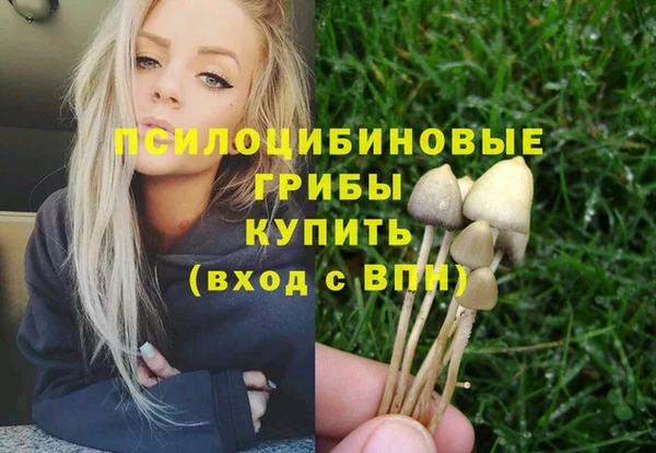 прущие крисы Михайловск