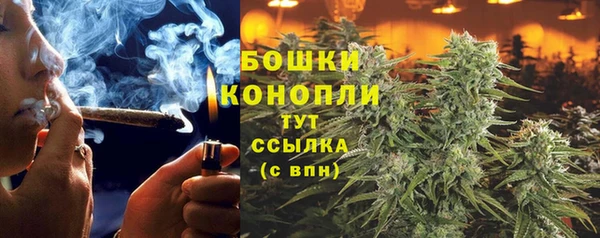 прущие крисы Михайловск